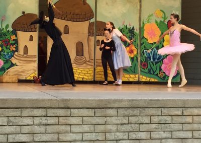 Ballet in the Park